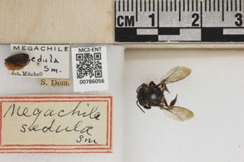 Media type: image;   Entomology 786056 Aspect: Labels